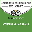 Certificate of Excellence 2015