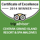 Certificate of Excellence 2014 WINNER