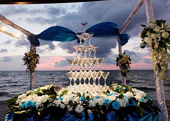 trat wedding