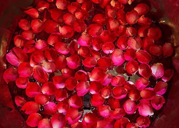 cense by spa cenvaree