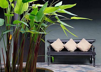 cense by spa cenvaree