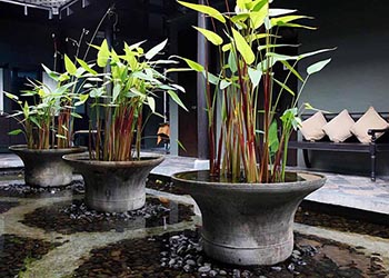 cense by spa cenvaree