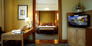 Studio Apartment - Large