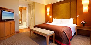 One Bedroom Apartment