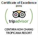 Certificate of Excellence 2016