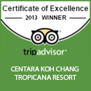 TA certificate Of Excellence 2013