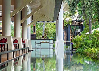 lotus restaurant