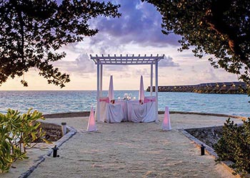 Dining Experiences
