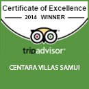 Certificate of Excellence 2014 WINNER