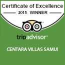 Certificate of Excellence 2015 Certificate of Excellence 2015