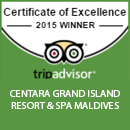 Certificate of Excellence 2015