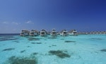 Coral growing programme an added attraction for snorkellers at Centara Grand Island Resort Maldives