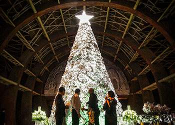 Tree lighting for annual charity at Centara Grand Mirage Beach Resort Pattaya also marks hotel’s 7th anniversary